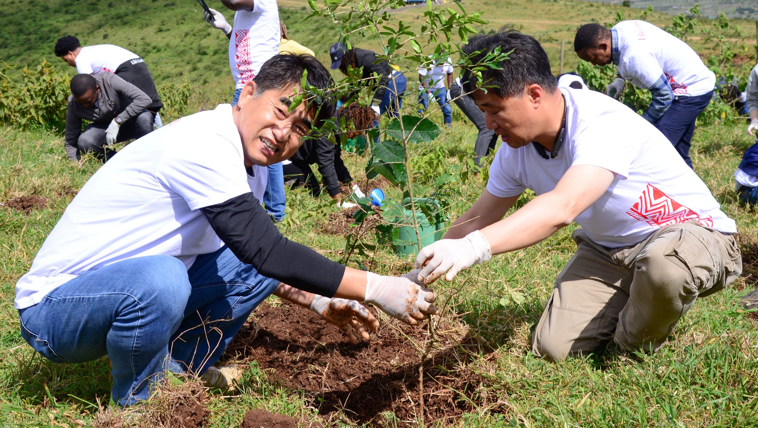 LG Plants 300 Indigenous Trees to Promote Recovery of Nairobi’s Ngong Hills Forest